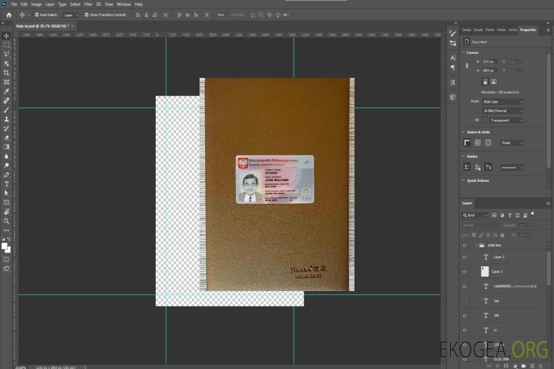 Pologne ID (2021 – présent) photolook AVANT template